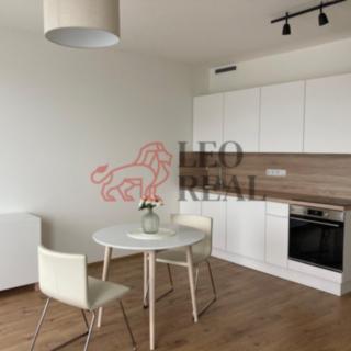 Pronájem bytu 1+kk, garsoniery 35 m² Praha