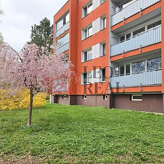 Pronájem bytu 1+1 39 m² Nový Jičín, Riegrova