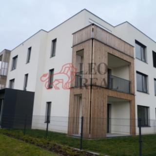 Pronájem bytu 1+kk a garsoniéry 57 m² Olomouc Nová Ulice, Karla Mareše