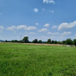Prodej zemědělské půdy 7527 m² Ropice