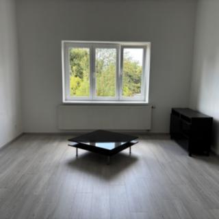 Prodej bytu 3+1 100 m² Děčín II-Nové Město, El. Krásnohorské