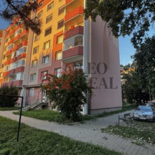 Pronájem bytu 2+1 55 m² Uherské Hradiště, Na Rybníku