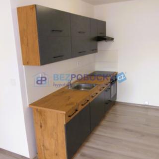 Pronájem bytu 2+kk 49 m² Bílina