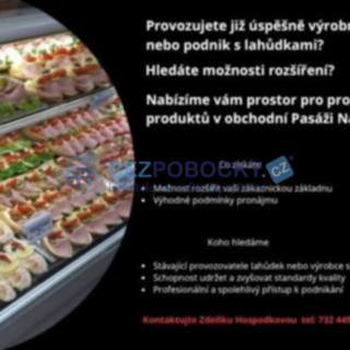 Pronájem kanceláře 50 m² Havlíčkův Brod, Dolní