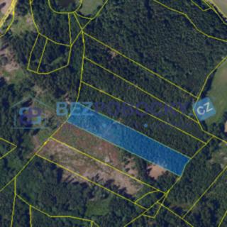 Prodej lesa 26 720 m² Vysočina