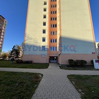 Pronájem bytu 1+kk, garsoniery 32 m² České Budějovice