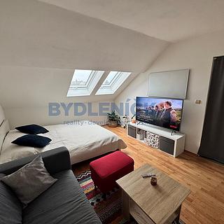 Pronájem bytu 1+1 35 m² Třeboň Břilice, Strouha