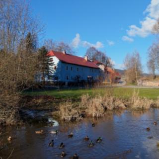 Prodej rodinného domu 492 m² Horní Planá