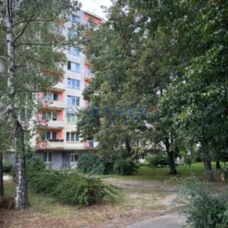 Pronájem bytu 3+1 67 m² České Budějovice 3, Pekárenská