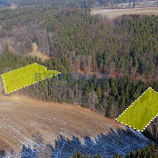 Prodej lesa 24 651 m² Mokrý Lom Polžov