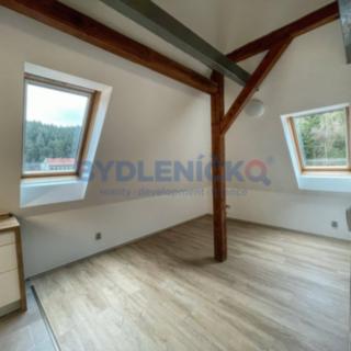 Pronájem bytu 3+1 55 m² Větřní, U Lípy