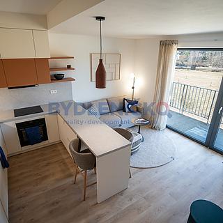 Prodej bytu 1+kk a garsoniéry 42 m² Hluboká nad Vltavou