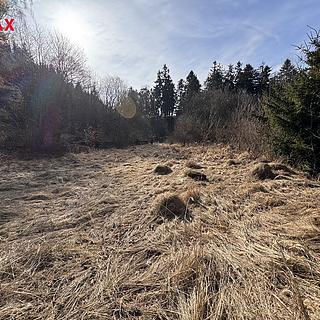 Prodej stavební parcely 3 780 m² Rozstání Baldovec