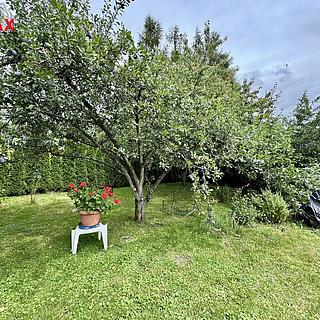 Prodej rodinného domu 313 m² Dolní Újezd Staměřice