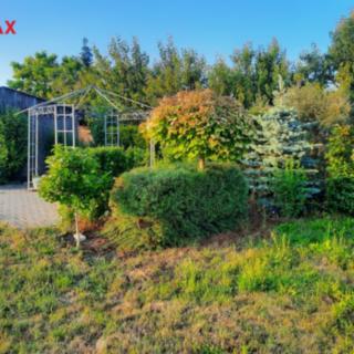 Pronájem zahrady 1000 m² Dolany