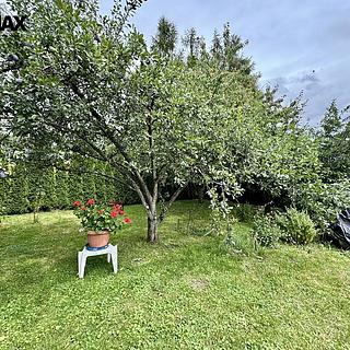 Prodej rodinného domu 313 m² Dolní Újezd Staměřice