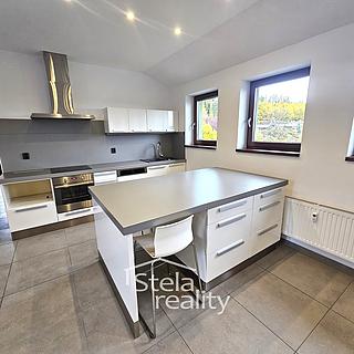 Pronájem bytu 4+kk 160 m² Krnov Pod Bezručovým vrchem, Ježník