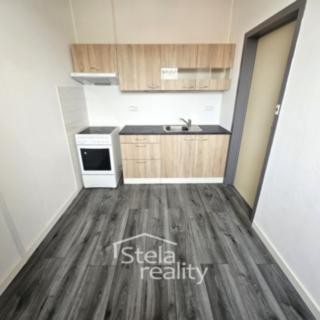 Pronájem bytu 1+1 32 m² Břidličná, Jesenická