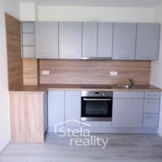 Pronájem rodinného domu 60 m² Rýmařov, Nerudova