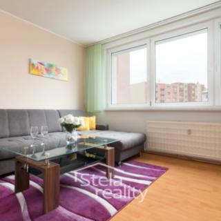 Pronájem bytu 1+1, 35m²