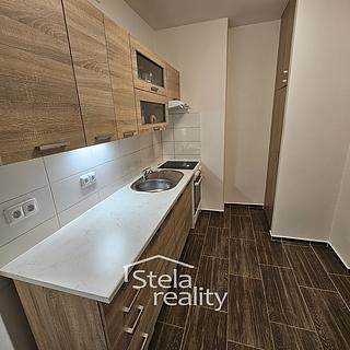 Pronájem bytu 1+1 34 m² Břidličná