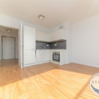 Pronájem bytu 2+kk 66 m² Praha