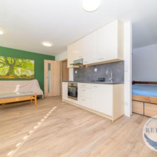 Pronájem bytu 1+kk, garsoniery 37 m² Praha