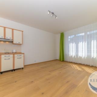 Pronájem bytu 1+kk a garsoniéry 28 m² Praha Záběhlice, Mattioliho