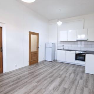 Pronájem bytu 1+1 35 m² Litoměřice Předměstí, Turgeněvova