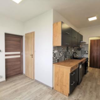Pronájem bytu 2+1 60 m² Ústí nad Labem Krásné Březno, U Pivovarské zahrady