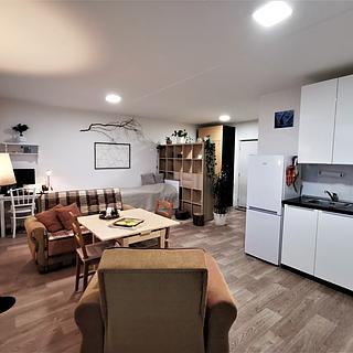 Pronájem bytu 1+kk a garsoniéry 35 m² Litoměřice Předměstí, Revoluční