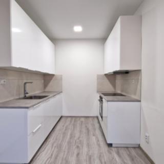 Pronájem bytu 3+1 65 m² Křešice, Kolonie