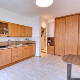 Pronájem bytu 2+kk 43 m² Praha Holešovice, U městských domů