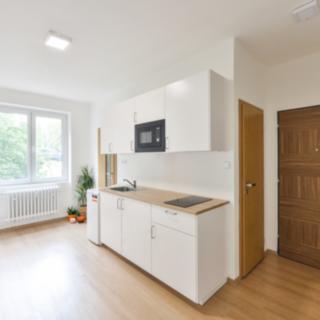 Prodej bytu 1+kk, garsoniery 19 m² Praha