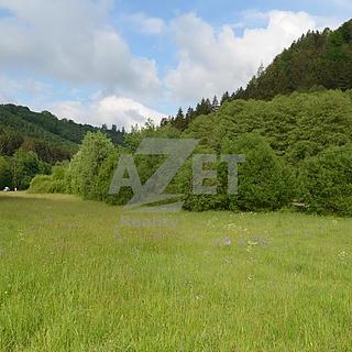 Prodej stavební parcely 4 500 m² Hanušovice Potůčník