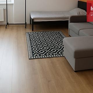 Pronájem bytu 1+kk, garsoniery 32 m&sup2; Ostrava