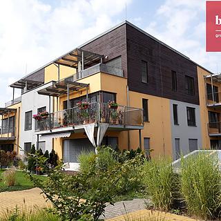 Pronájem bytu 1+kk, garsoniery 36 m² Ostrava