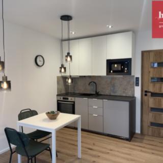 Pronájem bytu 1+kk, garsoniery 22 m² Opava
