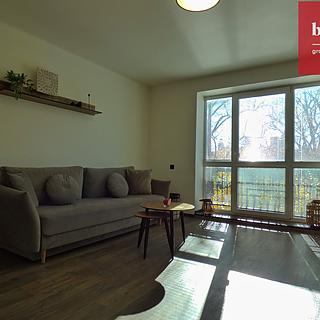 Pronájem bytu 2+1, 55m²