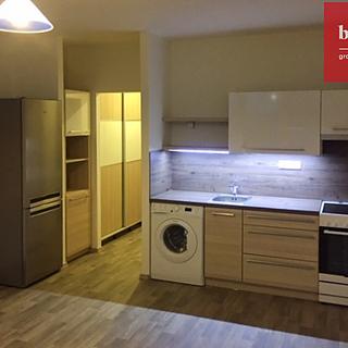 Pronájem bytu 1+kk, garsoniery 28 m&sup2; Opava