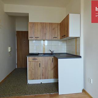 Pronájem bytu 1+kk a garsoniéry 18 m² Opava Předměstí, Haškova