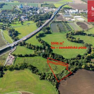 Prodej lesa 5 946 m² Opava Vávrovice