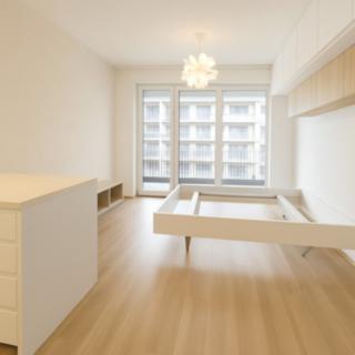 Pronájem bytu 1+kk, garsoniery 38 m² Praha