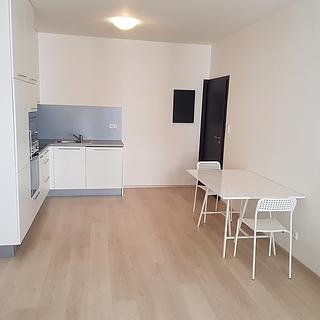 Pronájem bytu 2+kk 60 m&sup2; Praha