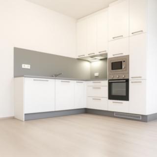 Pronájem bytu 2+kk 56 m² Praha Hlubočepy, Hugo Haase