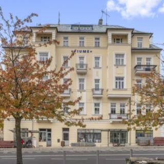 Pronájem bytu 1+1 42 m² Mariánské Lázně