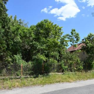 Prodej stavební parcely 802 m² Kozojedy, Revoluční