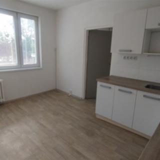 Pronájem bytu 1+1 43 m² Strakonice I, Máchova