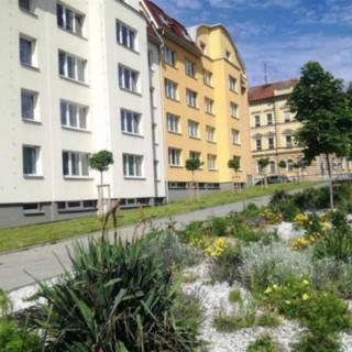Pronájem bytu 1+1 34 m² Strakonice I, Mlýnská