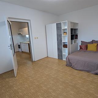 Pronájem bytu 1+1 36 m² Strakonice II, Luční